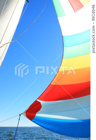 The wind has filled colorful spinnaker sail 9918046