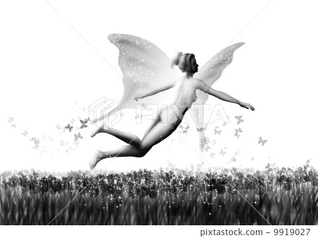 Ayame和Fairy 9919027