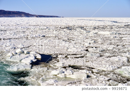 Nogi Cape and Drift ice 9919871