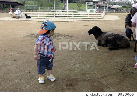 兒童和綿羊 兒童和綿羊 9920006