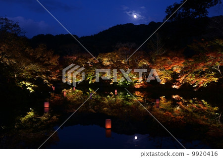 Autumn leaves lit up 9920416