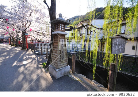Kinosaki Onsen 9920622
