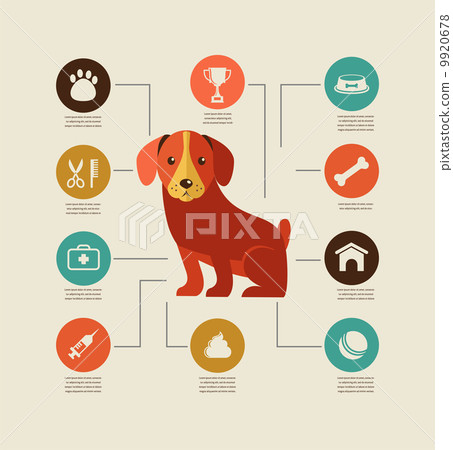 Dogs infographic and icon set 9920678
