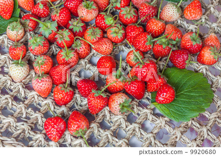 Fresh red ripe strawberries Fresh red ripe strawberries 9920680