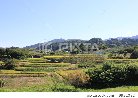 Asuka Village 9921082