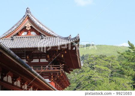 Todaiji 9921083