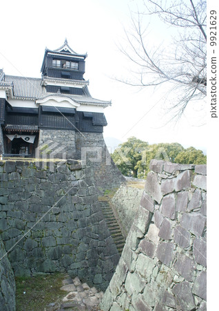 Kumamoto Castle  9921629