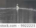 Swan 9922223