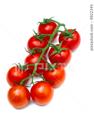 Cherry tomato - Solanum lycopersicum 9922345