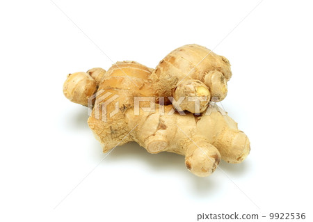 ginger ginger 9922536
