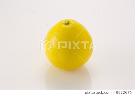 日向夏天 9922675