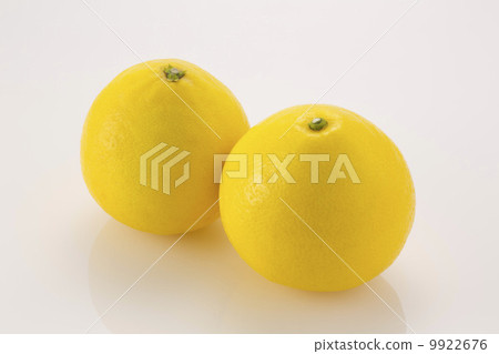 日向夏天 9922676