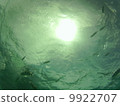 Underwater 9922707