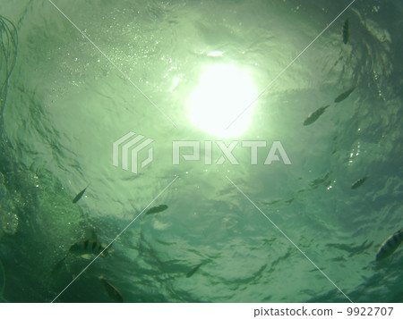 Underwater 9922707