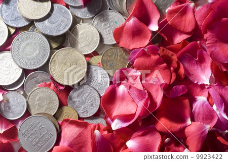 Money and Roses 9923422