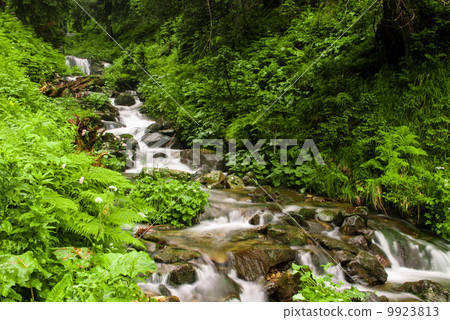 Mountain stream Mountain stream 9923813