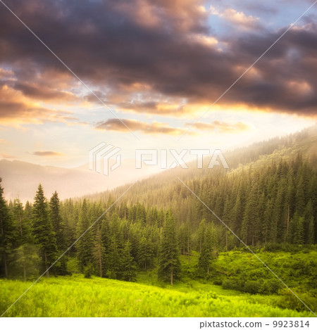 Landscape with fog Landscape with fog 9923814