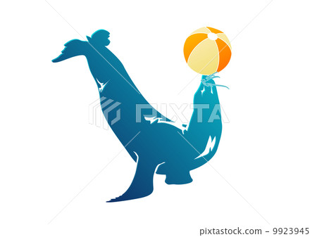 fur seal fur seal 9923945