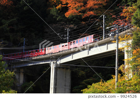 Oigawa Railway Ikawa Line 9924526