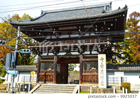 Hiroyuji's "Tower" (Koyo Wakaoka Town, Kyoto City) 9925037