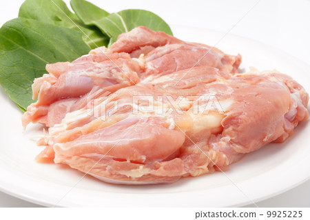 雞肉 雞肉 9925225