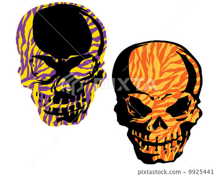 斑馬處理頭骨 斑馬處理頭骨 9925441