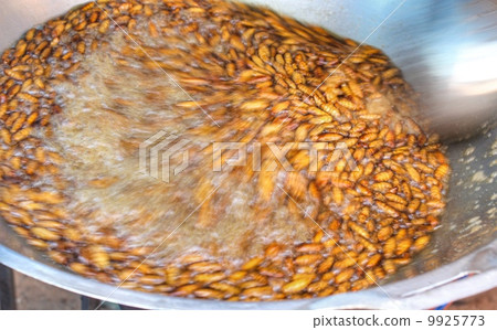 fried silk worms 9925773