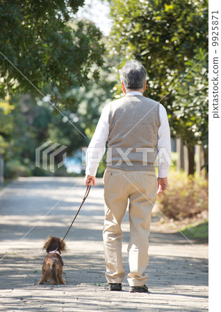 散步狗的老人 9925871