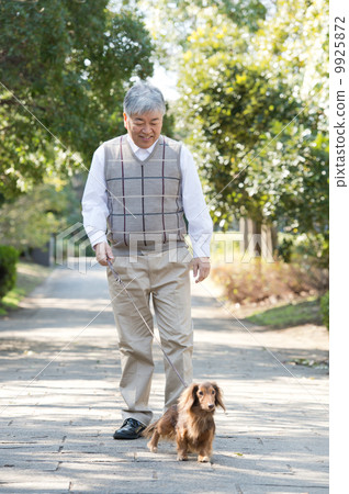 Senior men taking a walk of a dog 9925872