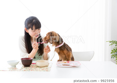 Pet and meal image 9925956