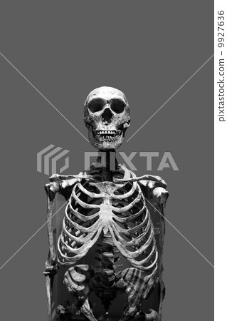 Scary Skeleton 9927636