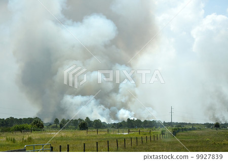 Open Burning or Wildfire 9927839
