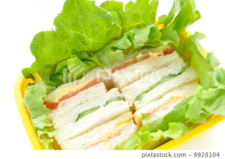 Sandwich Sandwich 9928104