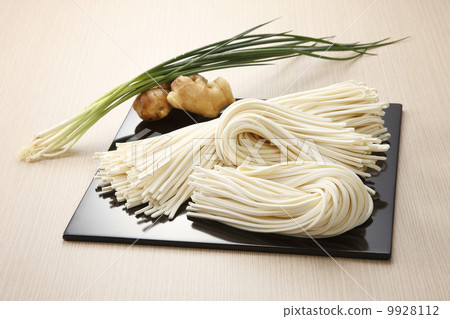 Semi-udon udon 9928112