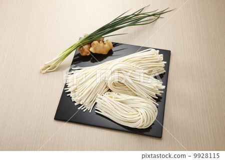 Semi-udon udon 9928115