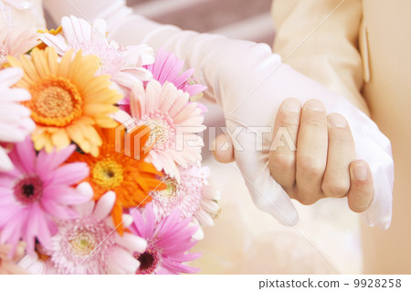 Bridal Bridal 9928258