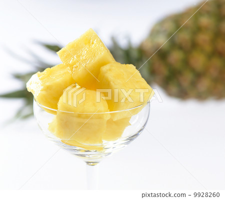 菠蘿 9928260