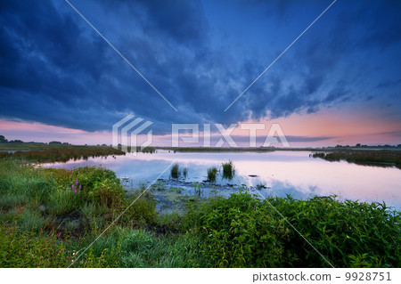 wild lake in summer wild lake in summer 9928751
