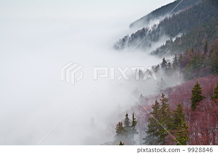 Harz mountains in fog Harz mountains in fog 9928846