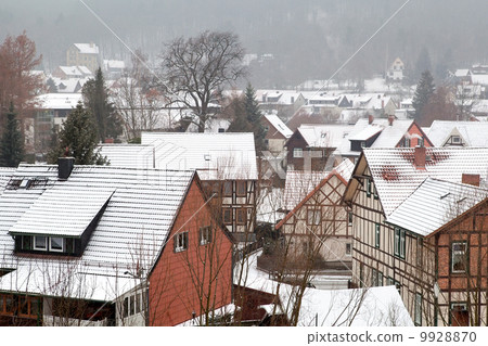 snowstorm over Ilsenburg, Germany snowstorm over Ilsenburg, Germany 9928870