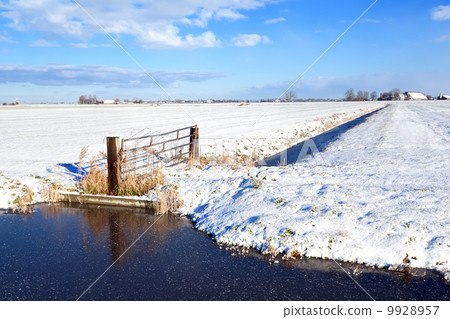 Dutch farmland in winter Dutch farmland in winter 9928957