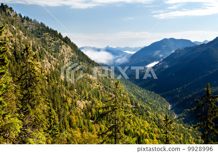view on Bavarian Alps 9928996