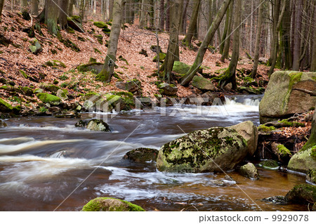 fast mountain river fast mountain river 9929078