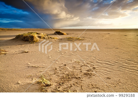 sand beach by North sea in Netherlands sand beach by North sea in Netherlands 9929188