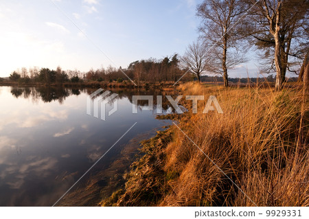 calm little wild lake in Dwingelderveld 9929331