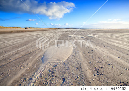 wind on sand beach in Ijmuiden, Holland wind on sand beach in Ijmuiden, Holland 9929362