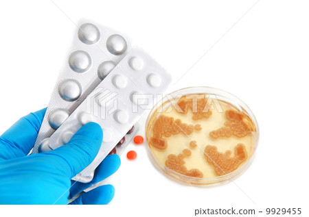 antibiotics in pills and Penicillum fungi that produce penicilli 9929455