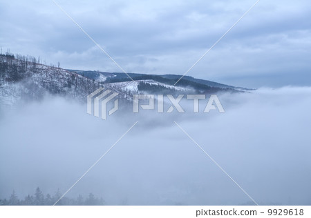 Harz mountains in dense winter fog Harz mountains in dense winter fog 9929618
