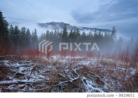 Harz mountains during misty winter day Harz mountains during misty winter day 9929651
