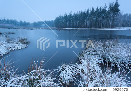 cold winter morning over wild lake 9929670